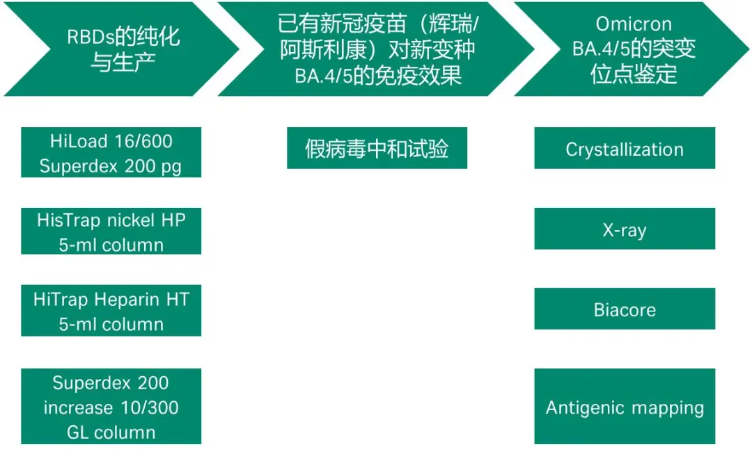 图3. 文章整体研究思路