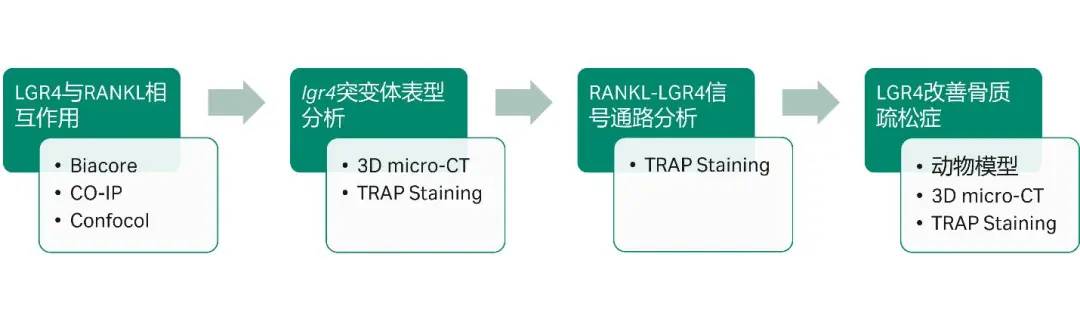 图3 文章整体思路回顾