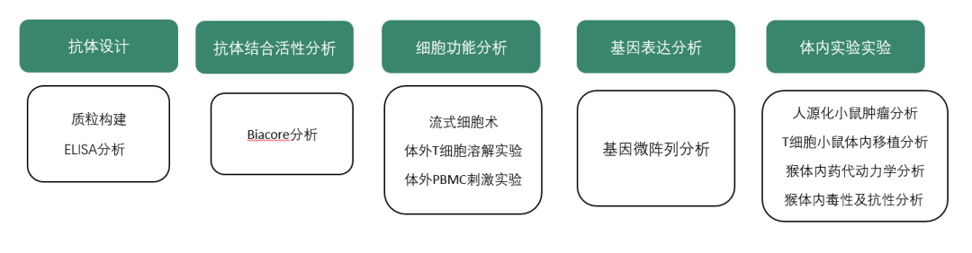 图4 Biacore™ 8K分子相互作用分析平台