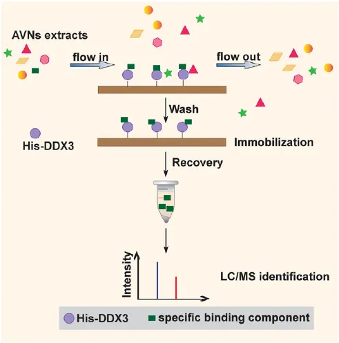 Easy Biacore | 垂钓模块应用指南