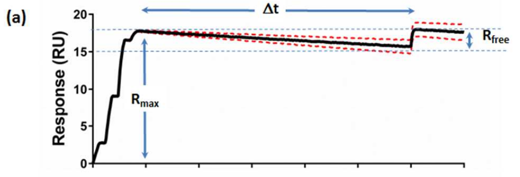 超慢解离如何解？Biacore Chaser Assay实操参考！