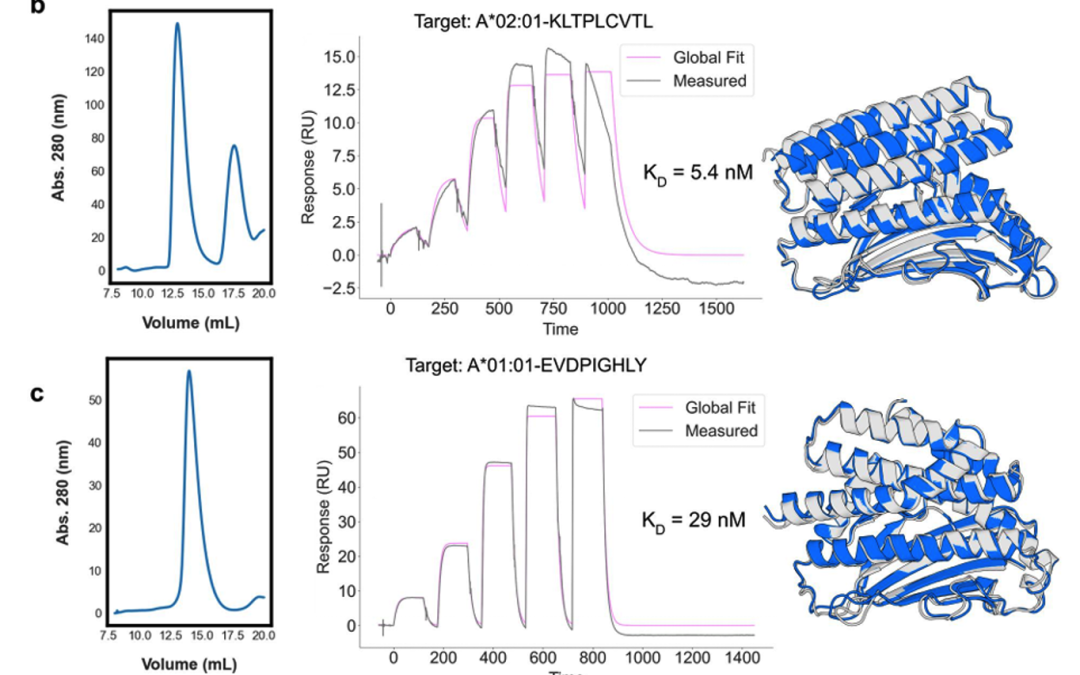 AI+SPR：Science+NCB顶刊教你“玩转”表位识别