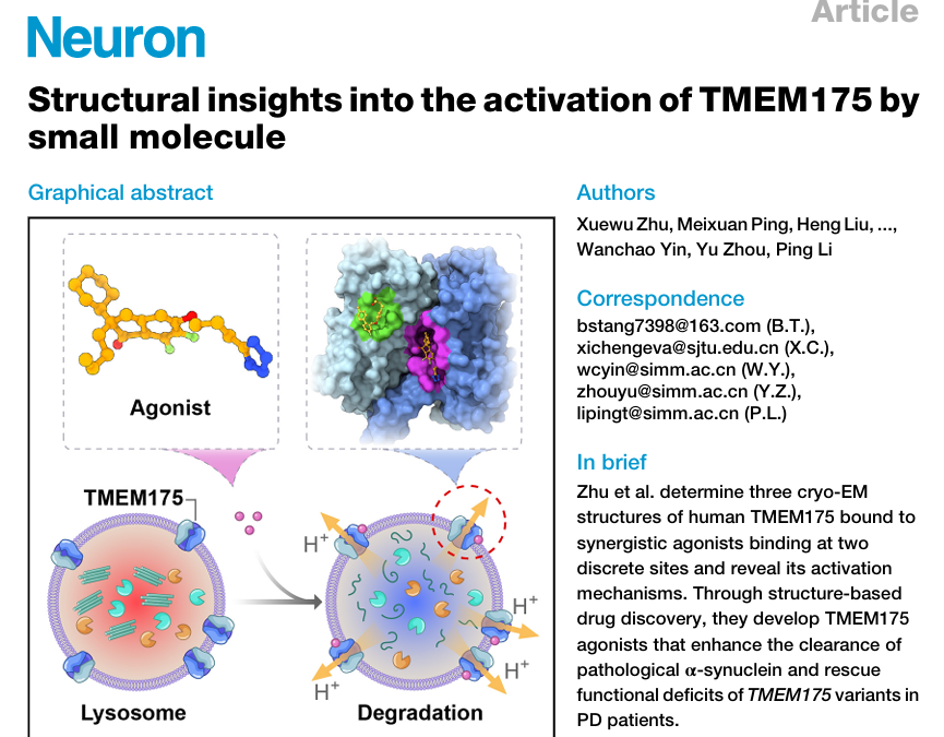 超越单靶点！Biacore验证TMEM175双位点协同，开启神经退行治疗新范式