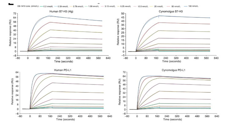 双抗ADC破局免疫逃逸，临床前数据引爆期待