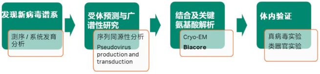 识毒于初：Biacore解码新型病毒感染潜力 | 思拓凡学堂中国官网