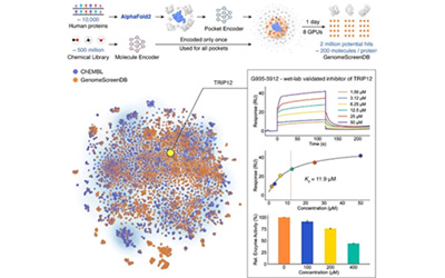 开年双顶刊：AI + SPR双轮驱动，分子发现迈入 “极速精准” 新纪元