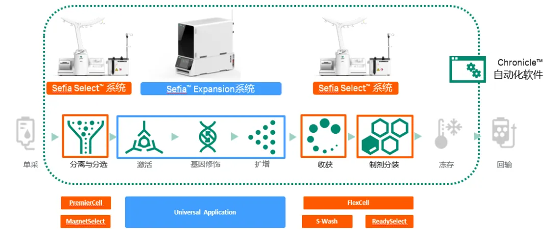 Sefia细胞疗法制造平台一般工艺流程