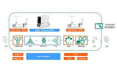 Sefia细胞疗法制造平台实际案例分享