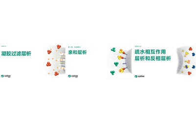 层析纯化从入门到精通：Cytiva中文层析原理手册全新发布！