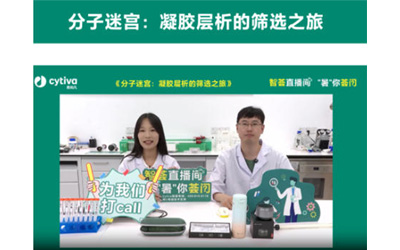年度汇总｜灵蛇纳福圆满谢幕，“智荟锦囊”助您策马启新程！