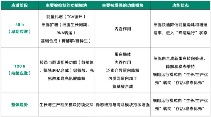 30 mM铵离子应激下CHO细胞KEGG通路变化总结