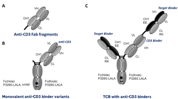 TAA-CD3的“2+1”TCE结构Format