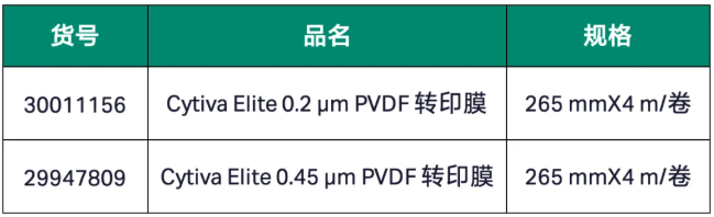 新品