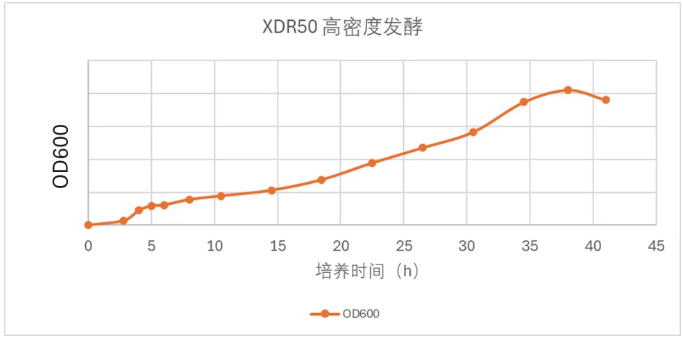 XDR50-MO高密度发酵结果