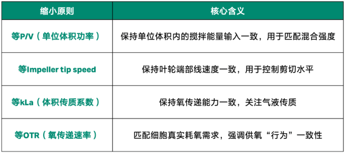 缩小模型建立中常见的缩小原则与计算方式