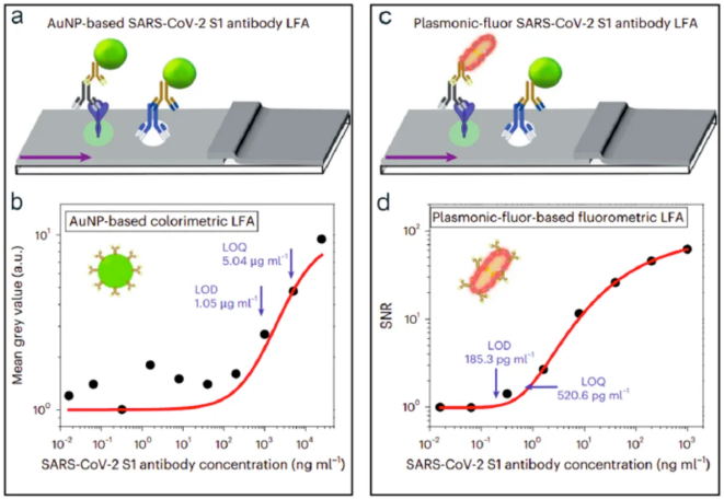 金纳米粒子和等离激元LFA在检测 SARS-CoV-2 S1抗体方面的生物分析性能