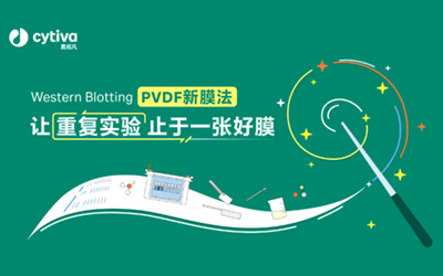 内含通关膜法，Cytiva Elite PVDF转印膜助你解锁高效实验秘籍