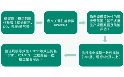 你用的缩小模型真的代表生产吗？上游缩小模型的建立与验证！