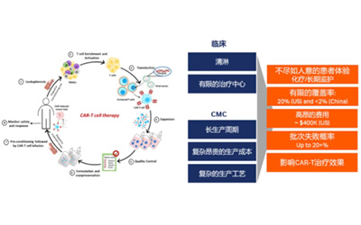 in vivo CAR-T的下一场产业化竞赛：慢病毒路径仍然重要