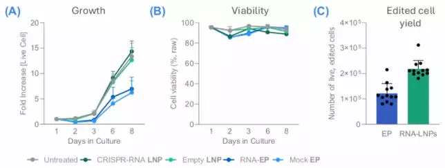 LNPs yield higher proliferation and edited cells compared to electroporation