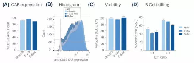 Scalability of cell culture and treatment parameters exemplified with various vessel types and sizes tested in T cells