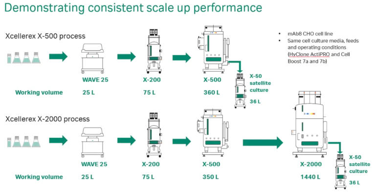 Demonstrating consistent scale up performance